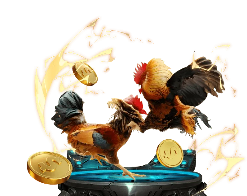 Giao diện nền tảng HK68 Đăng Nhập với các trận đá gà trực tiếp